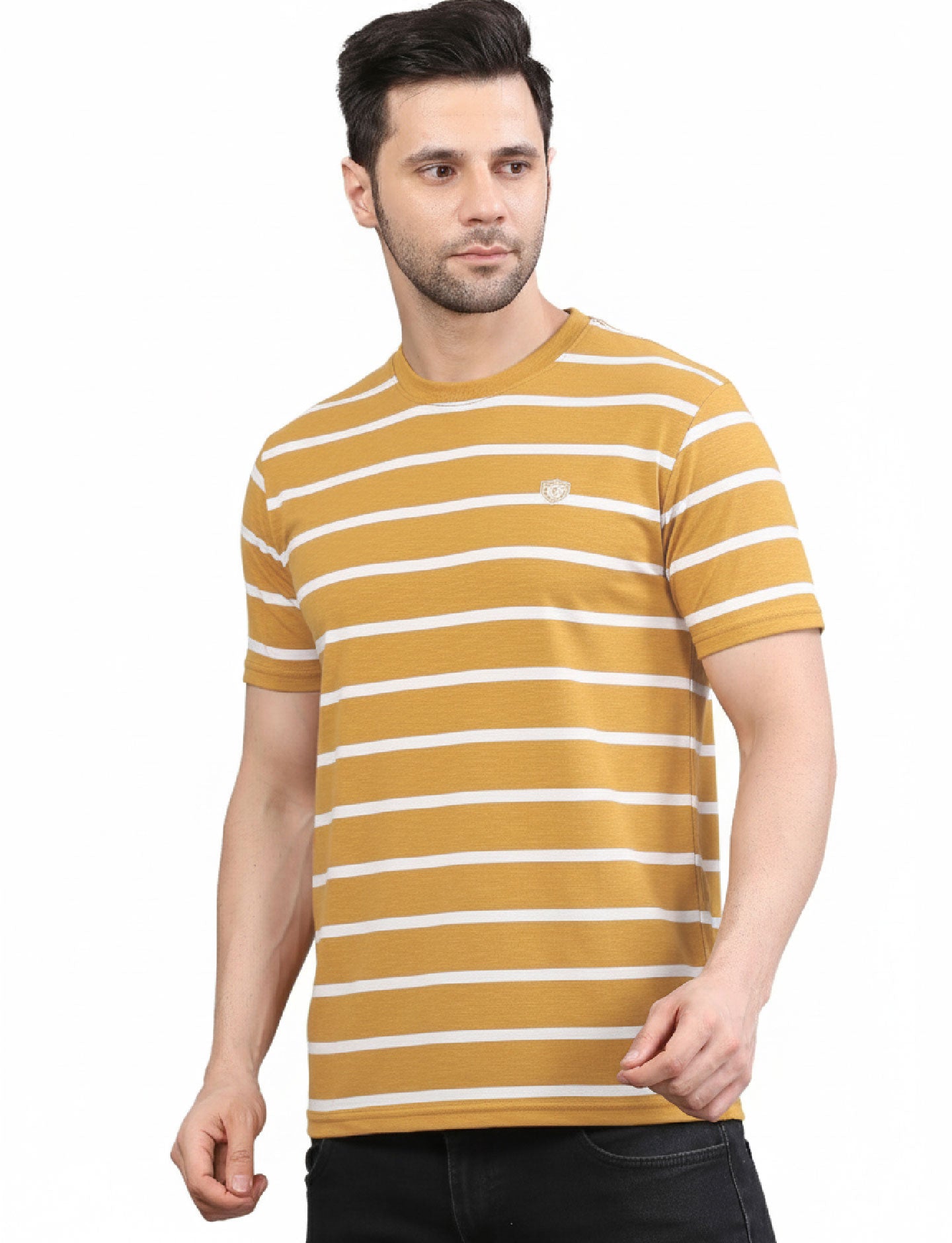 Men's Striped Crew Neck T-Shirt