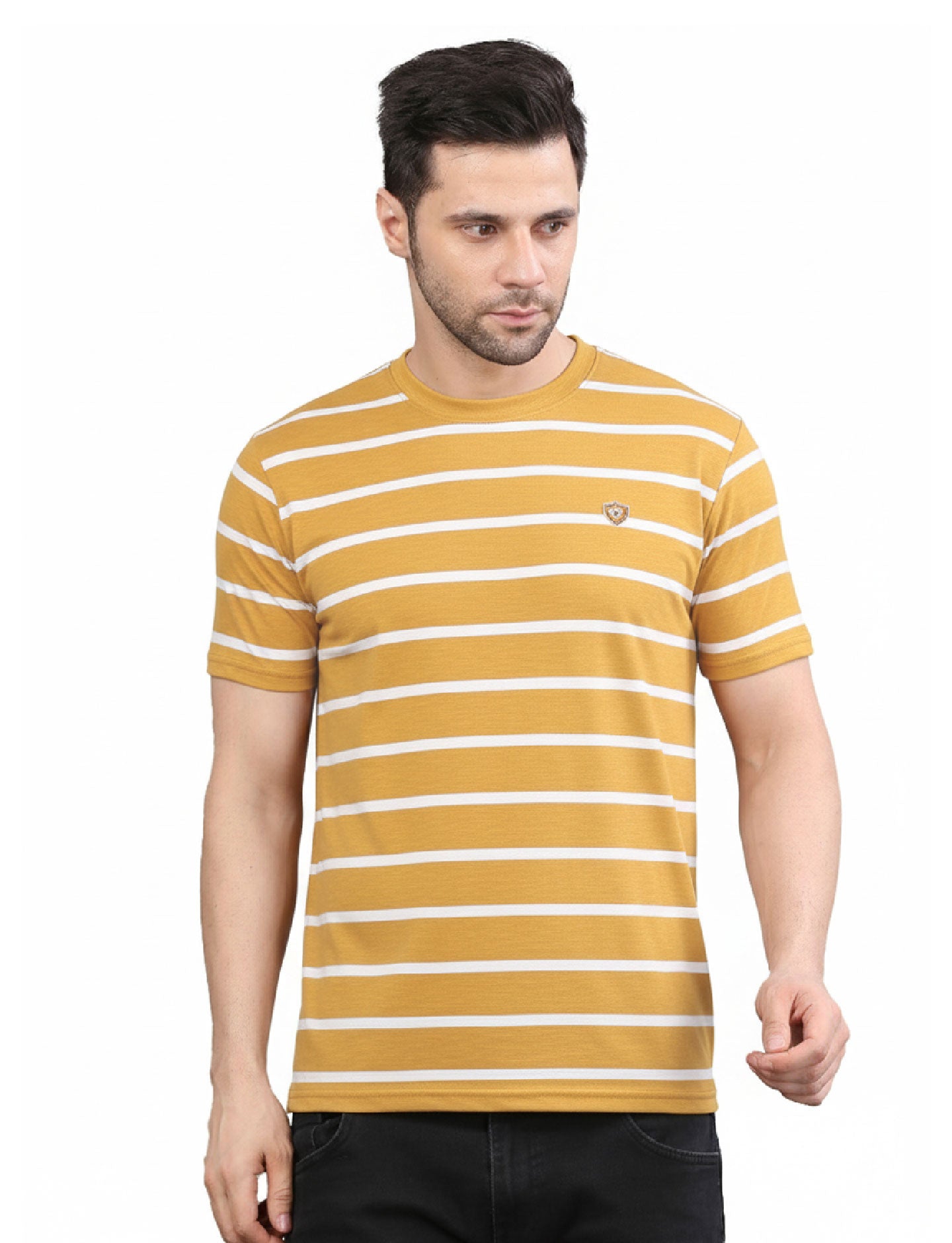 Men's Striped Crew Neck T-Shirt