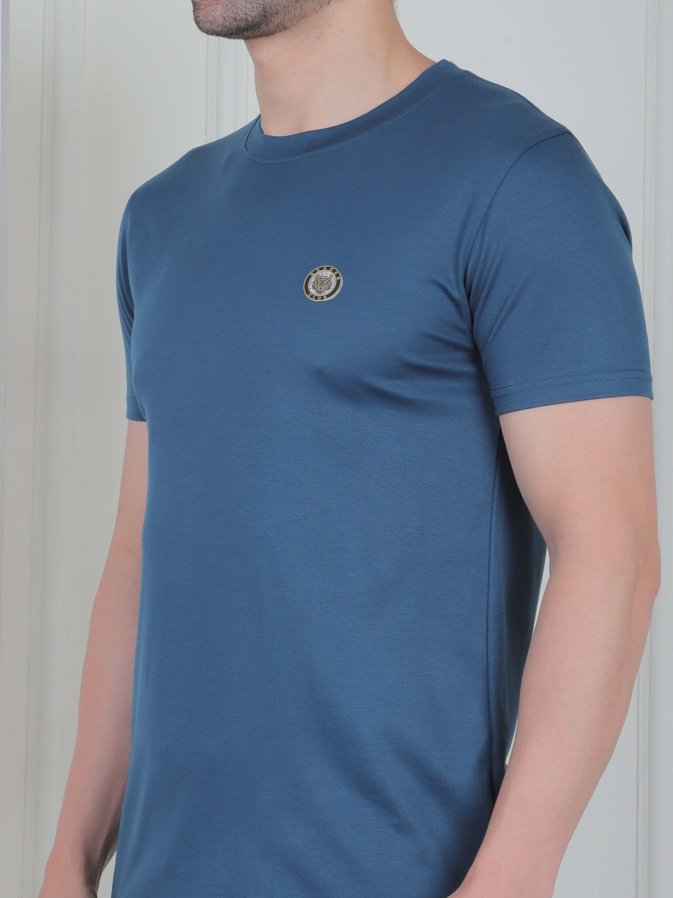 Men's casual logo T-shirt in blue, featuring a slim fit and soft cotton design for everyday wear.