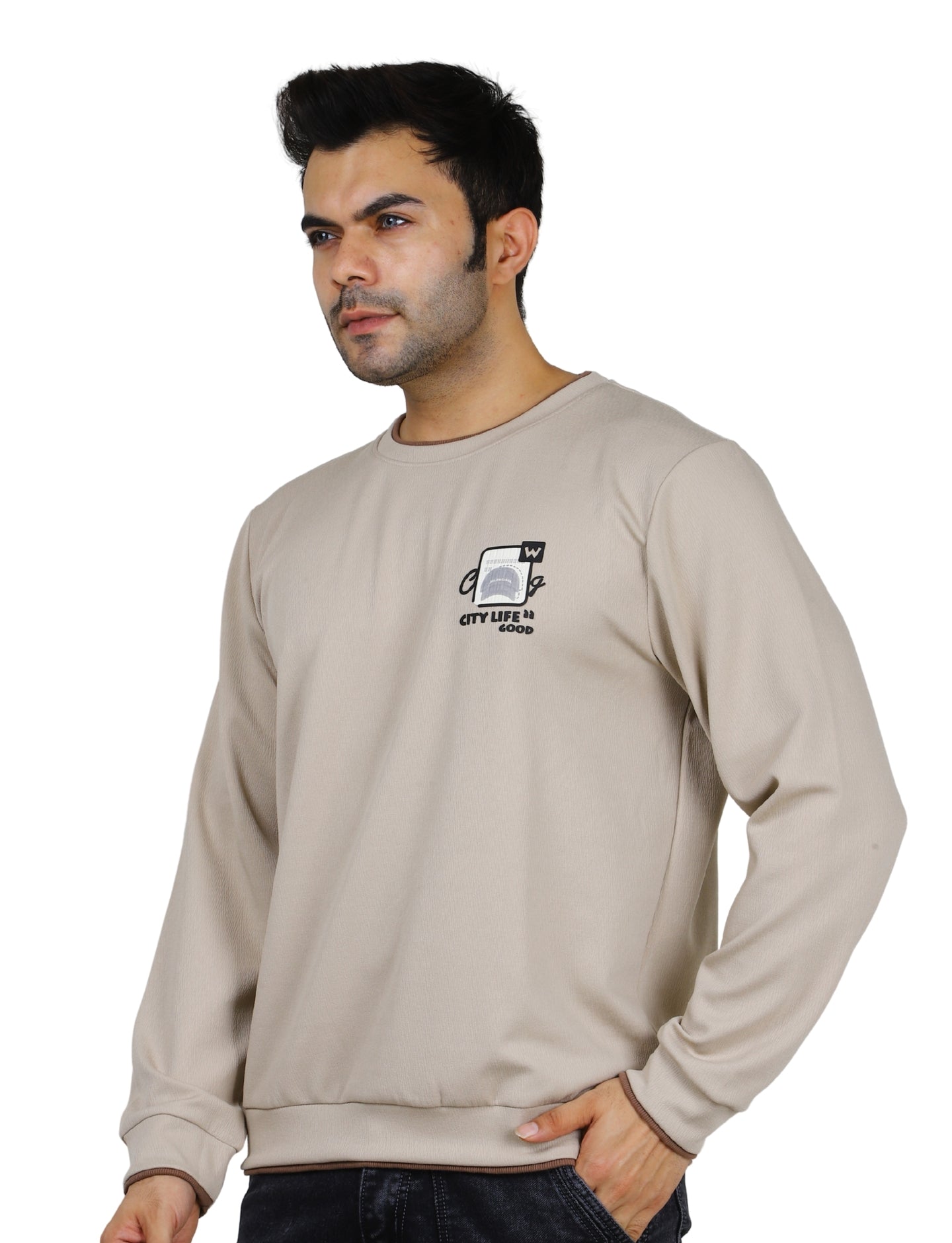Men's Sweatshirts Urban Pulse Pullover Crew Neck Full Sleeve Winter wear Beige
