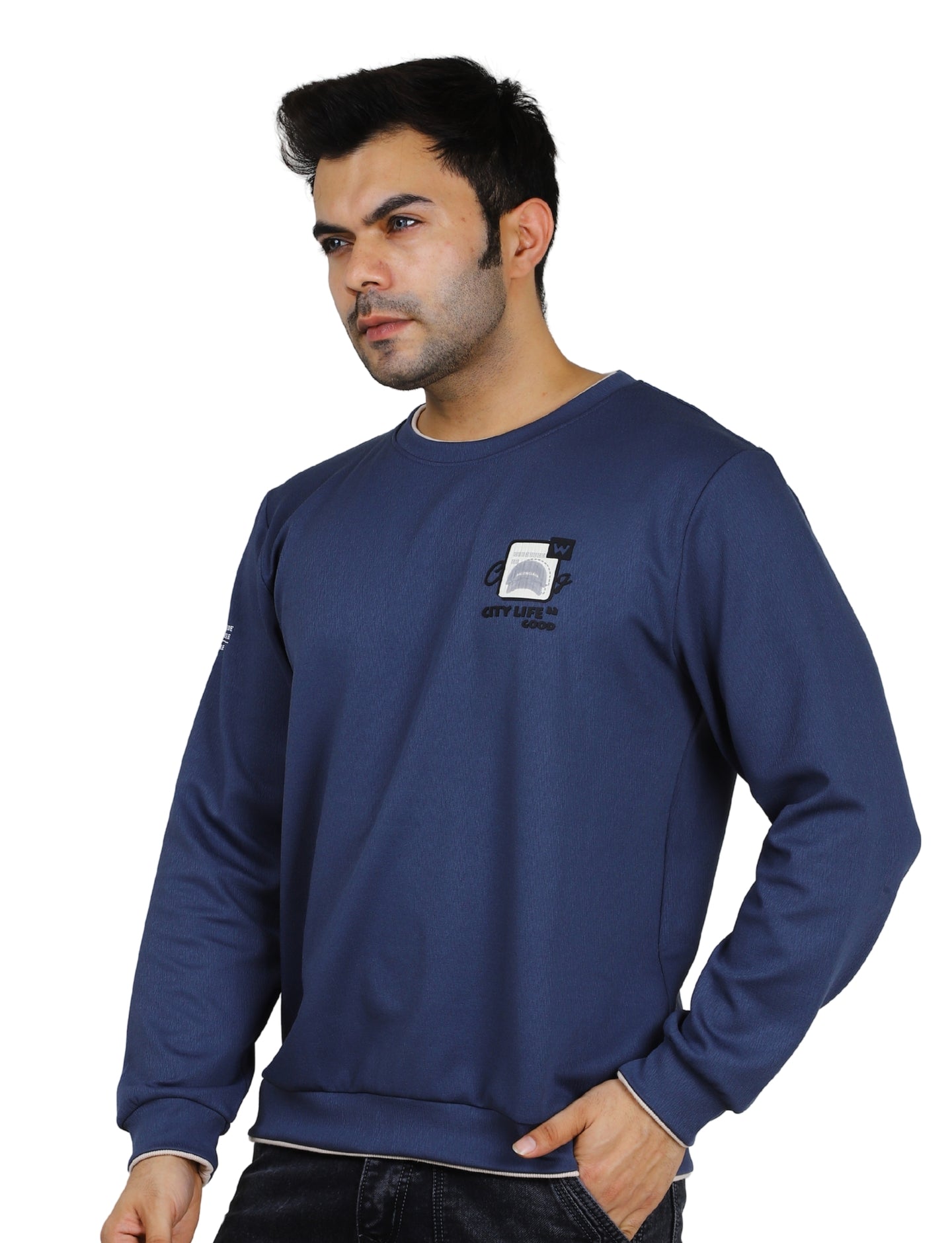 Men's Sweatshirts Urban Pulse Pullover Crew Neck Full Sleeve Winter wear Pacific