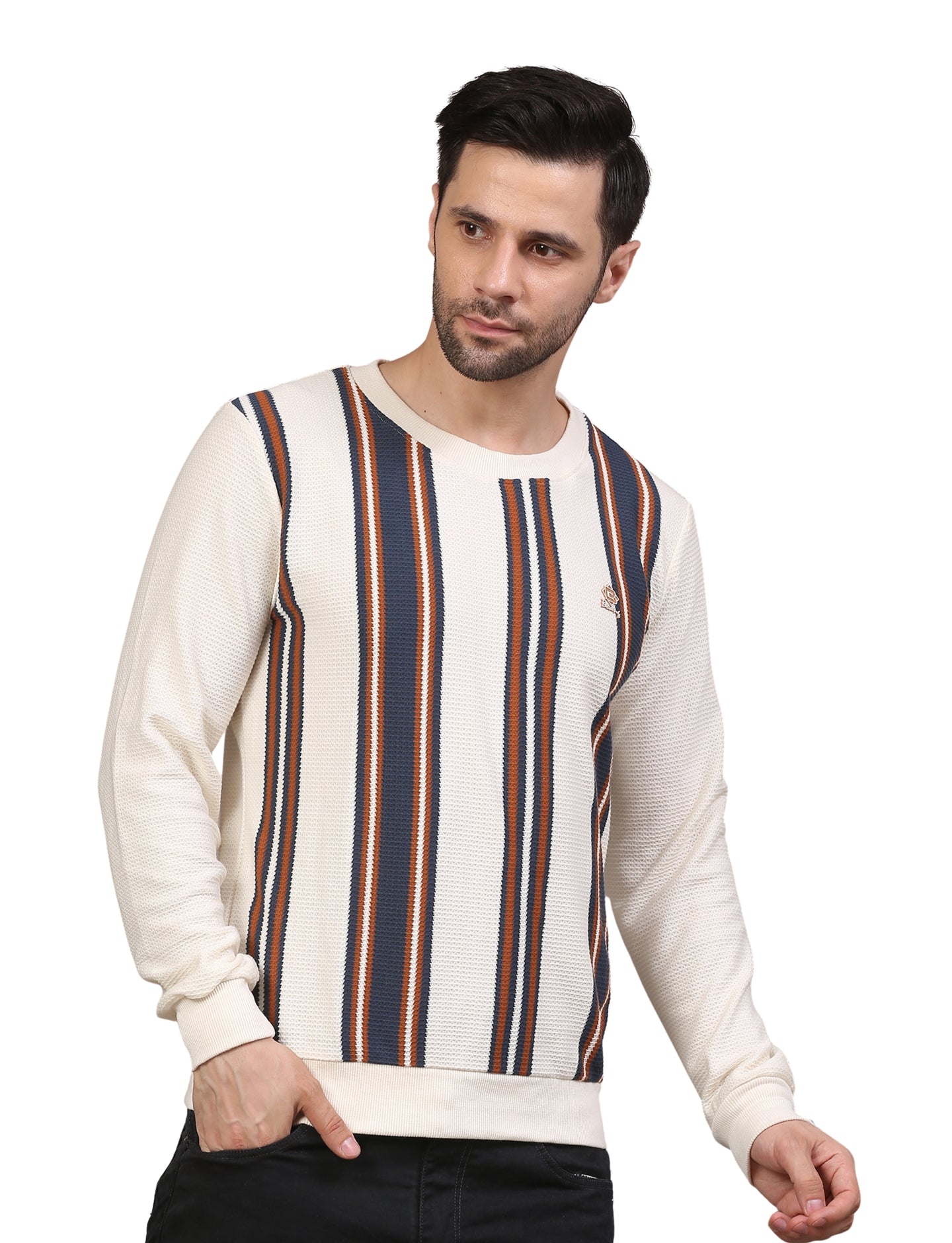 Men's Vertical Striped Sweatshirt Cream, Navy & Brown Casual Knit Pullover