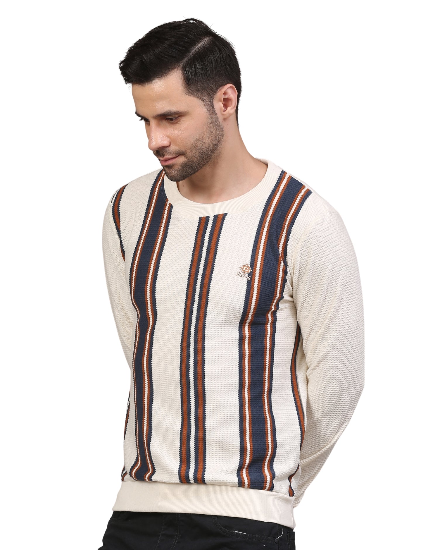 Men's Vertical Striped Sweatshirt Cream, Navy & Brown Casual Knit Pullover